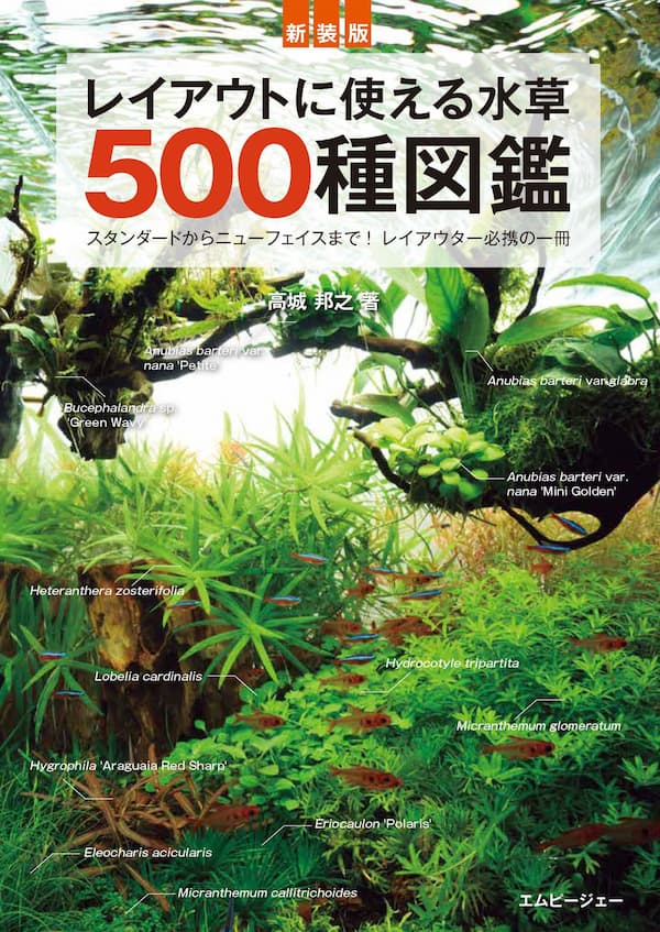 【MPJ レイアウトに使える 水草500種図鑑をレビュー】こと細かな解説が嬉しい水草愛に溢れる図鑑