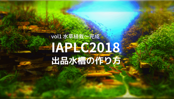 【IAPLC2018】世界水草レイアウトコンテスト 出品水槽の作り方 vol2 水草植栽~完成