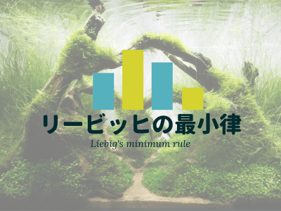 私が水草水槽に活用している園芸肥料 Ordinary Aquarium 私が水草水槽に活用している園芸肥料 Ordinary Aquarium