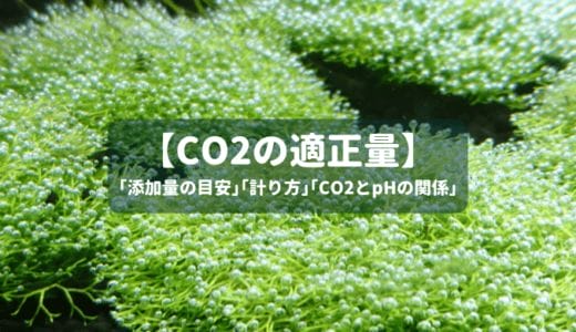 【CO2の適正量】CO2添加量の目安と計り方､CO2とpHの関係などを徹底解説！