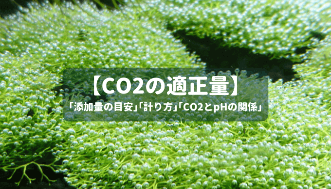 Co2の適正量 Co2添加量の目安と計り方 Co2とphの関係などを徹底解説 Ordinary Aquarium