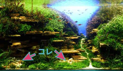 21年版 水草水槽におすすめの底床 ーソイル 砂利 砂をプロが選別 ー Ordinary Aquarium