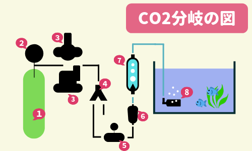 Co2を分岐して複数の水槽へ添加する方法 ー必要なもの セッティング例 Co2分岐の注意点ー Ordinary Aquarium