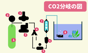 CO2添加を始めよう！】高圧ボンベ式CO2添加キットのセッティング方法 