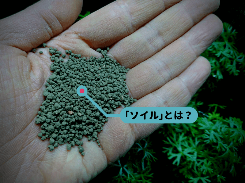 ソイル とは何か 水草用ソイルを徹底解説 Ordinary Aquarium