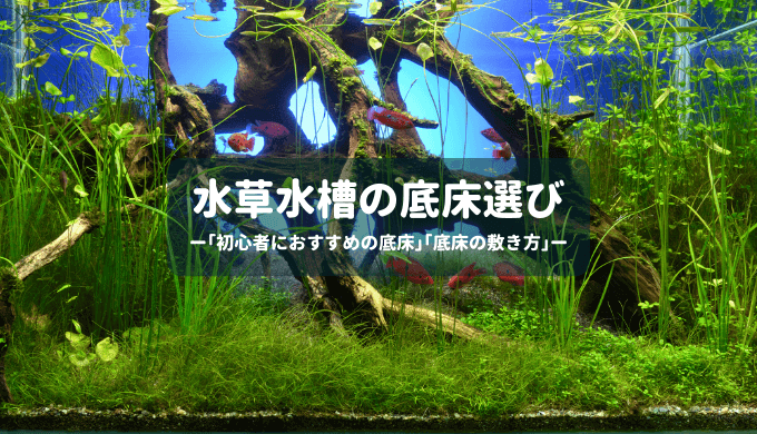 2022年版】水草水槽におすすめのソイル､砂､砂利 ープロが選んだ水草の育つ底床ー | Ordinary-Aquarium