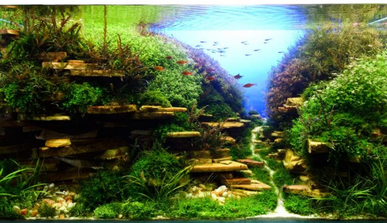 水草水槽で底面式フィルターを使う方法 Ordinary Aquarium