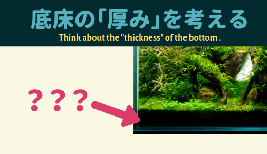 水草水槽 底床の 厚み を考える ーレイアウトと水草育成 2つの視点からアプローチー Ordinary Aquarium