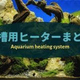 アクアリウムの電気代 水槽サイズ別電気料金の目安 Ordinary Aquarium
