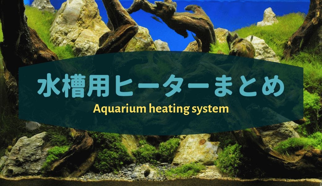 アクアリウムの電気代 水槽サイズ別電気料金の目安 Ordinary Aquarium