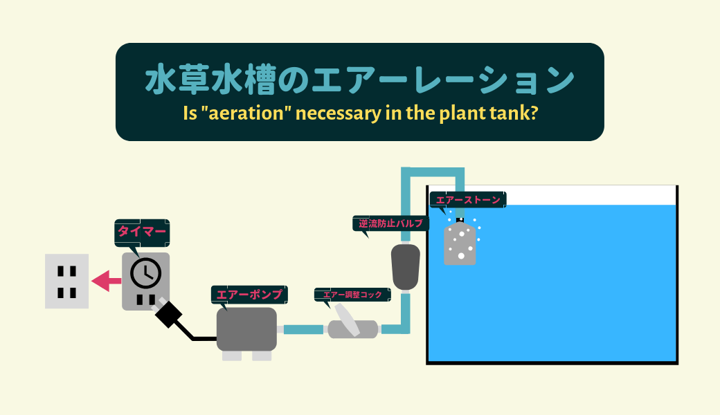 必ず必要 水草水槽のエアーレーション ー油膜とco2中毒の予防ー Ordinary Aquarium