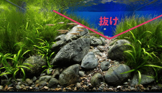 水草水槽 底床の 厚み を考える ーレイアウトと水草育成 2つの視点からアプローチー Ordinary Aquarium