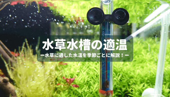 園芸用の軽石はアクアリウムで使えるのか Ordinary Aquarium 園芸用の軽石はアクアリウムで使えるのか Ordinary Aquarium
