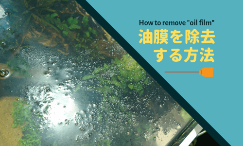 プロ直伝 水槽の油膜を除去する方法 ー油膜の害 原因 予防法などを徹底解説 ー Ordinary Aquarium