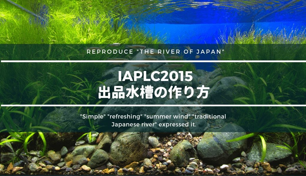 Iaplc18 世界水草レイアウトコンテスト 出品水槽の作り方 Vol1 構図組 コケ活着 Ordinary Aquarium