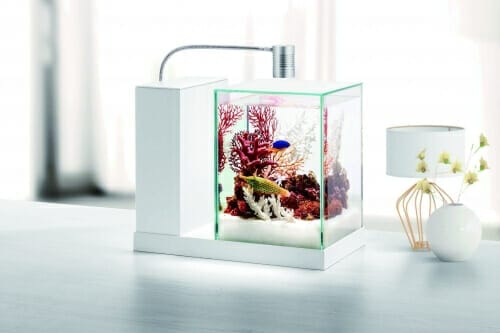 水槽用フィルターまとめ フィルターの種類と特徴 Ordinary Aquarium