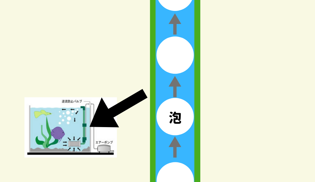 エアーリフト式 水循環器 確認用-