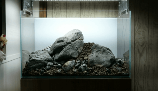 The Build a rock