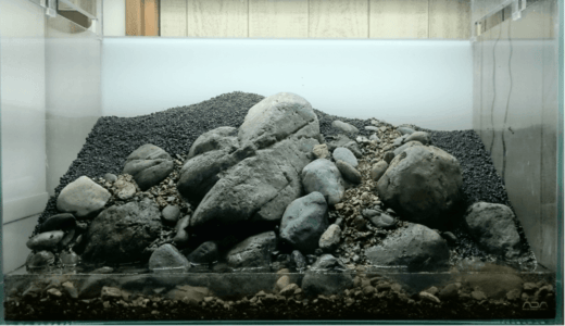 Add the soil