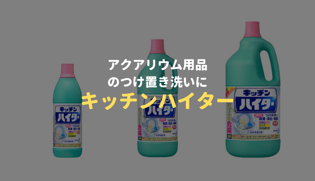 石 流木 水草を接着 水槽で使えるボンドを3つご紹介 Ordinary Aquarium