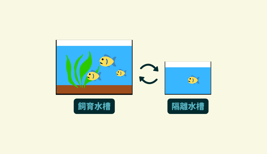 お魚の調子を整える 塩水浴の方法 Ordinary Aquarium