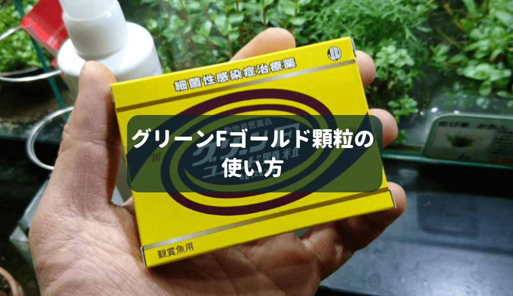 守備範囲が広い グリーンfゴールド顆粒の使い方 ー尾腐れ病 口腐れ病 エラ腐れ病の治療におすすめー Ordinary Aquarium