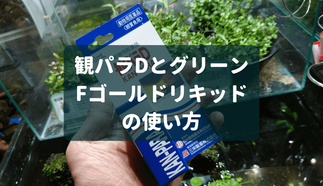 市場 病魚薬 30ml 観パラD 魚病薬 の治療 細菌感染症 熱帯魚 穴あき病