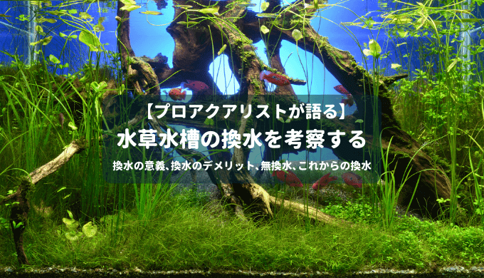 プロが語る 水草水槽の換水の考察 ー換水の意義 換水のデメリット 無換水 これからの換水ー Ordinary Aquarium