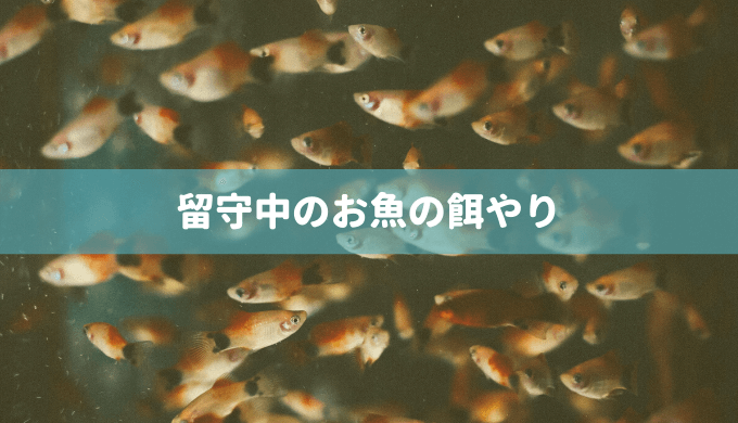 プロが選んだ】小型熱帯魚におすすめの餌 | Ordinary-Aquarium