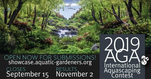Adaコンテストと多重応募可 Agaコンテストに応募しよう 9月15日締め切り Ordinary Aquarium Adaコンテストと多重応募可 Agaコンテストに応募しよう 9月15日締め切り Ordinary Aquarium