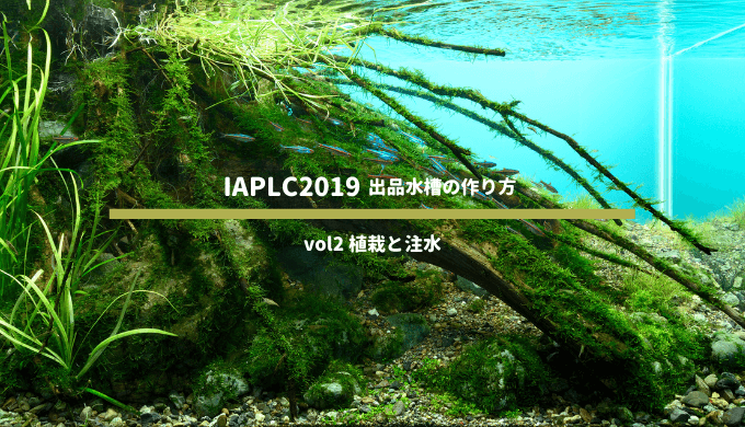 Iaplc19 世界水草レイアウトコンテスト 出品水槽の作り方 Vol2 植栽と注水 Ordinary Aquarium Iaplc19 世界水草レイアウトコンテスト 出品水槽の作り方 Vol2 植栽と注水 Ordinary Aquarium