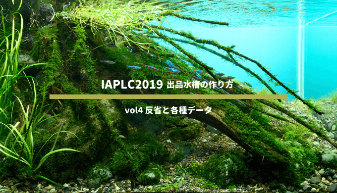 Iaplc19 世界水草レイアウトコンテスト 出品水槽の作り方 Vol4 反省と各種データ Ordinary Aquarium