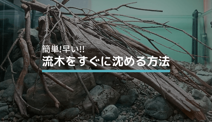 【簡単！早い！】流木を沈める方法 | Ordinary-Aquarium