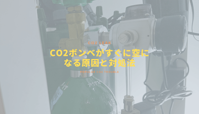 Co2過多 お魚やエビがco2中毒になった時の対処法 Ordinary Aquarium Co2過多 お魚やエビがco2中毒になった時の対処法 Ordinary Aquarium