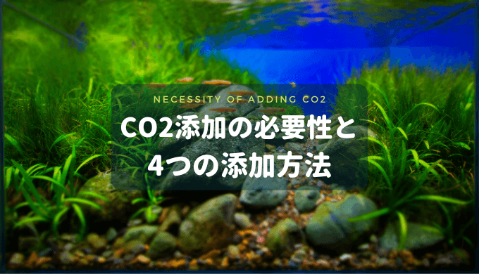 【水草水槽】CO2添加の必要性と4つの添加方法