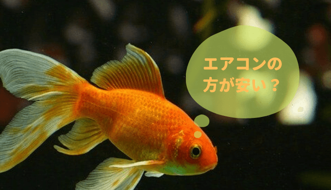 初期エロモナス症対策 観パラd グリーンfゴールドリキッドの使い方 Ordinary Aquarium