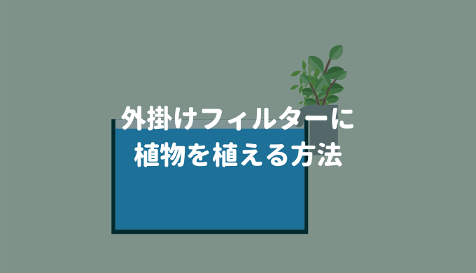 小型水槽におすすめ 外掛け式フィルターを使いこなす 特徴 おすすめ機種 使い方 パワーアップ方法まとめ Ordinary Aquarium