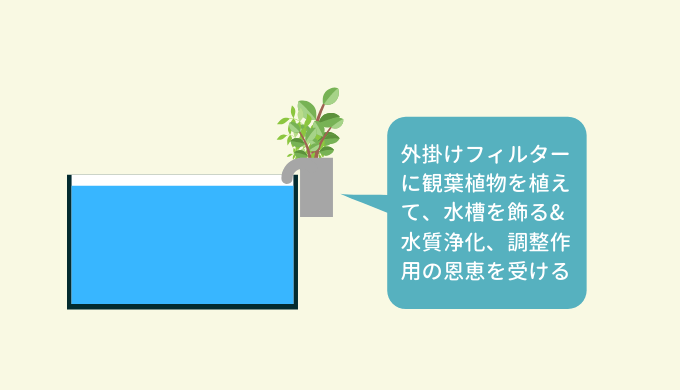 水質浄化 外掛けフィルターに植物を植える方法 ー手軽にオープンアクアリウムを楽しむー Ordinary Aquarium