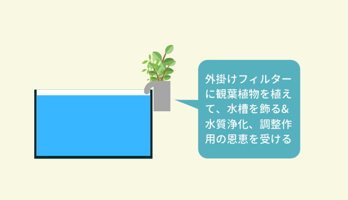 外掛けフィルターに植物を植える方法