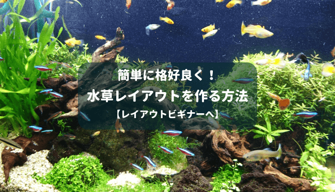 シンプル 簡単に格好良い水草レイアウトを作る方法 Ordinary Aquarium