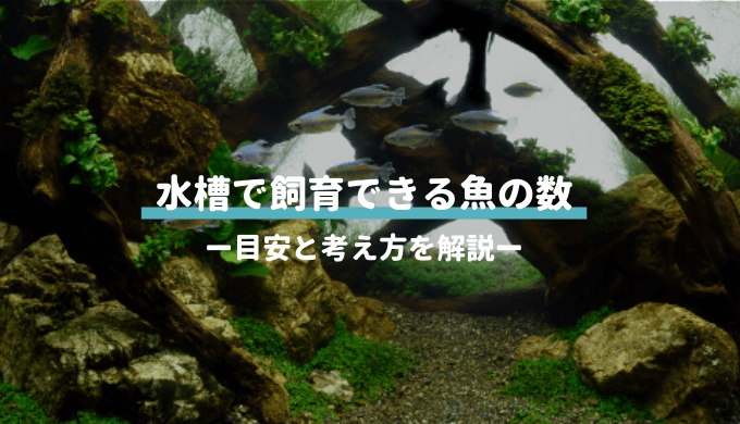 水槽で生える藻類 苔 対策まとめ ー増殖原因 藻類一覧 お掃除屋さんの適正数などを丁寧に解説ー Ordinary Aquarium