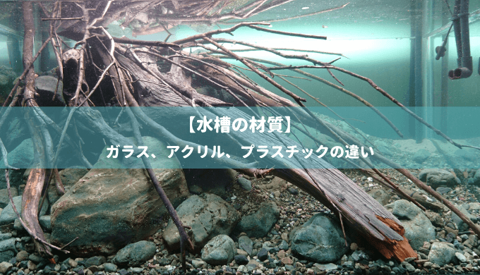 水槽の材質 ガラス アクリル プラスチックの違い Ordinary Aquarium