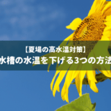 水槽の水温を下げる3つの方法