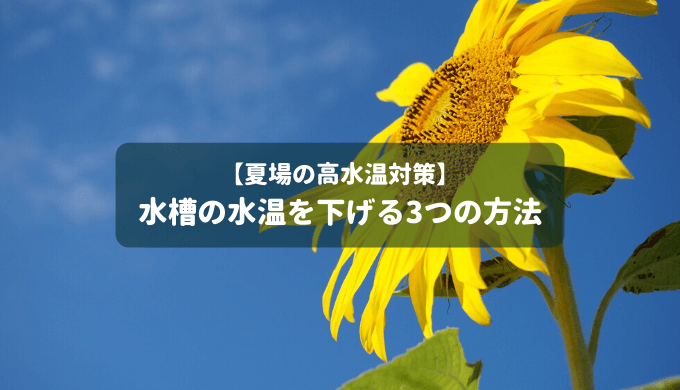 夏の暑さ対策 水槽の水温を下げる3つの方法 ーおすすめの冷却アイテムをご紹介ー Ordinary Aquarium