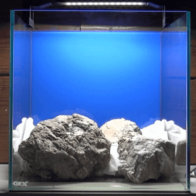 ソイル 砂利を高く盛る 盛土をして奥行感を演出する方法 Ordinary Aquarium