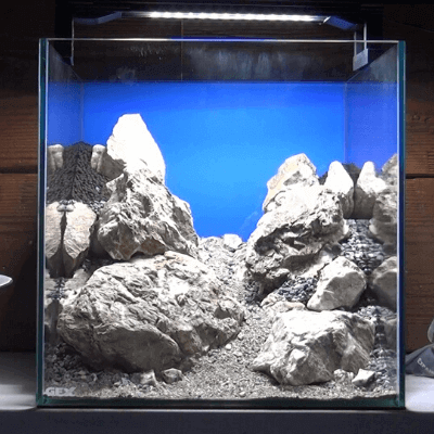 前景を砂で演出 化粧砂の効果と使い方 ーソイルとの敷き分け方も詳しく解説ー Ordinary Aquarium