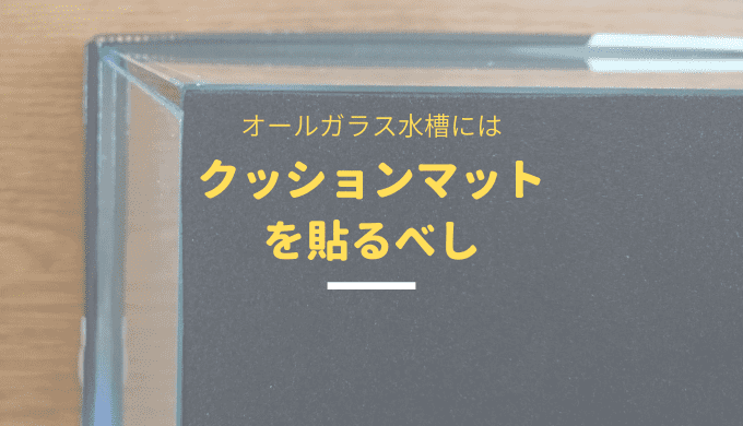 オールガラス水槽にはクッションマットを必ず敷こう ー水槽に貼り付けると便利ですー Ordinary Aquarium