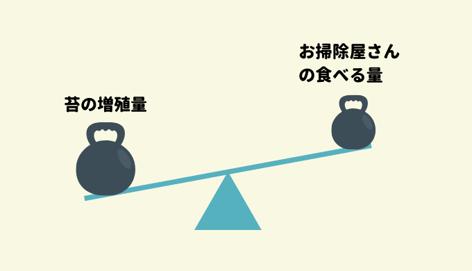 水槽で生える藻類 苔 対策まとめ ー増殖原因 藻類一覧 お掃除屋さんの適正数などを丁寧に解説ー Ordinary Aquarium