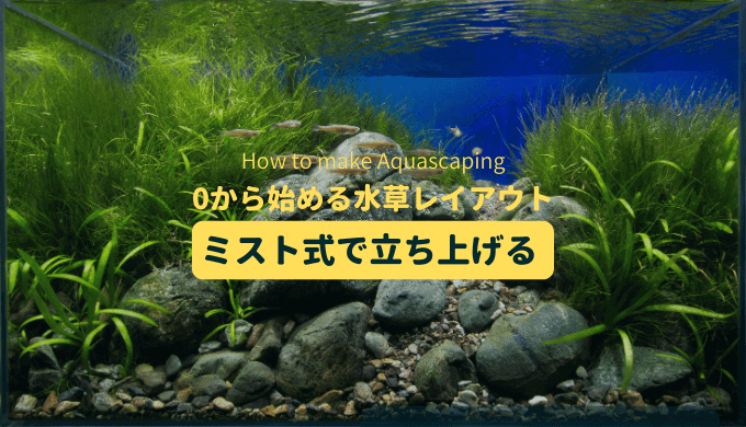 水草レイアウト水槽】濁らない水の張り方とCO2添加キットの