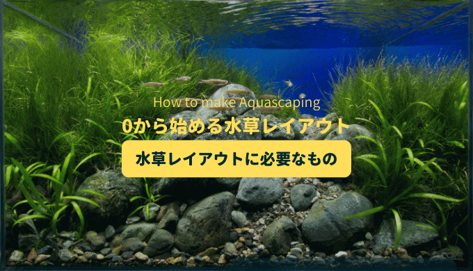 水草レイアウト水槽】立ち上げ1週間の水草の成長と初めての